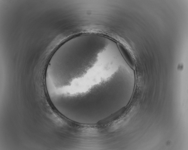 X0000116420577201001191452