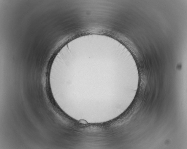 X0000116420578201001191452