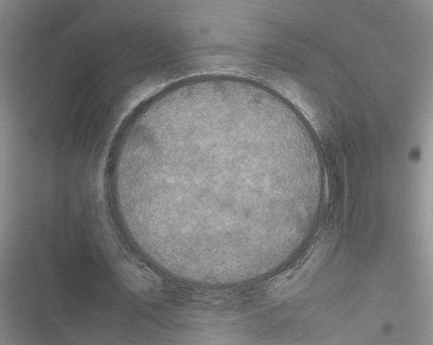 X0000116420579201001191452