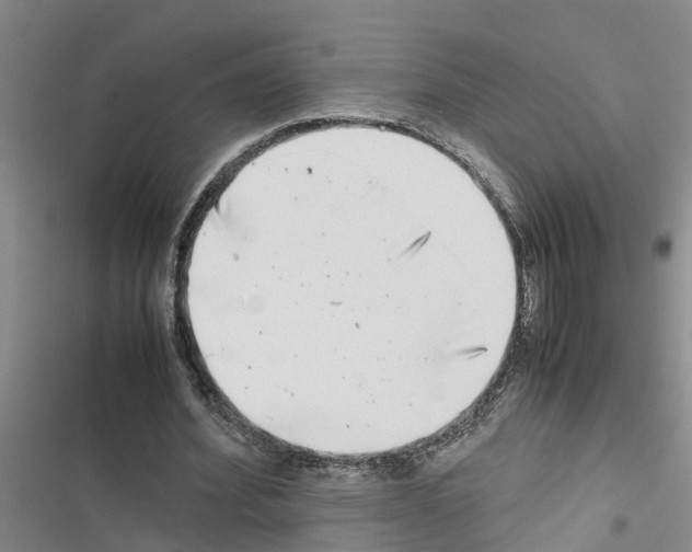 X0000116420580201001191452