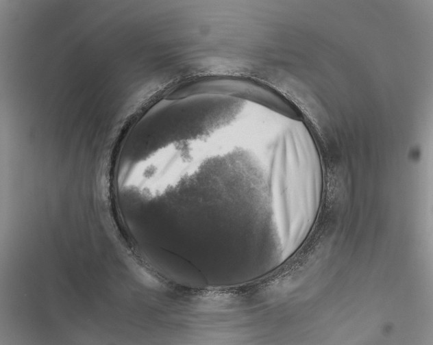 X0000116420581201001191452