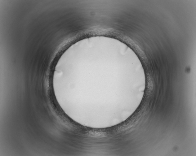 X0000116420582201001191452