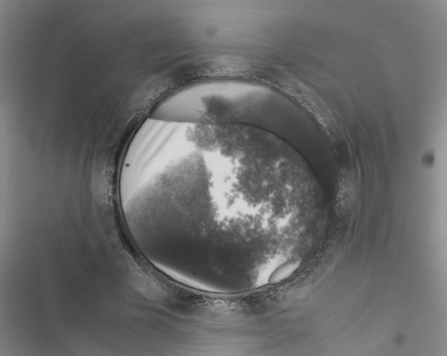X0000116420585201001191452
