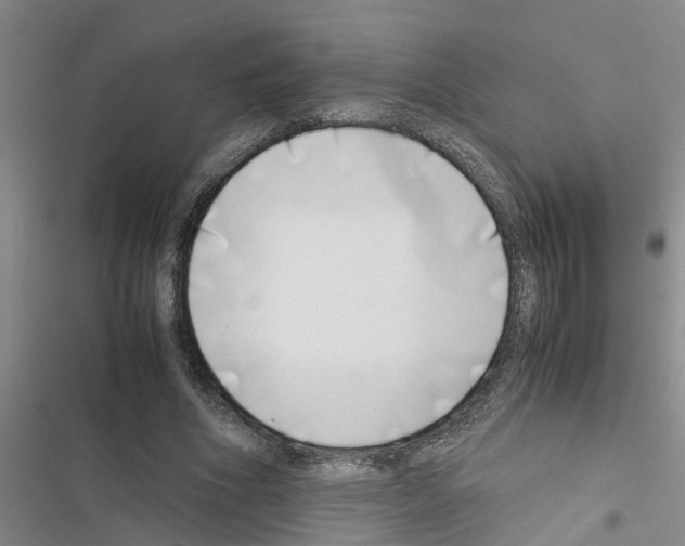 X0000116420586201001191452