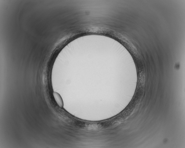 X0000116420587201001191452