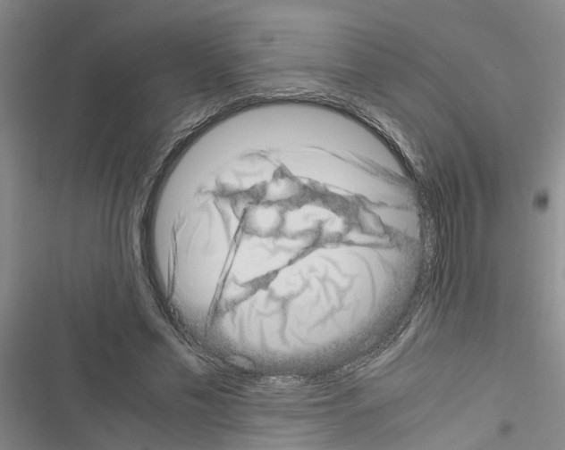 X0000116420589201001191452