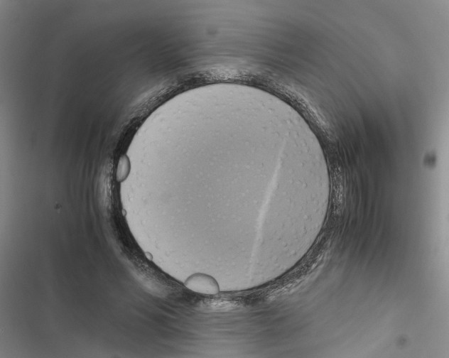 X0000116420590201001191451