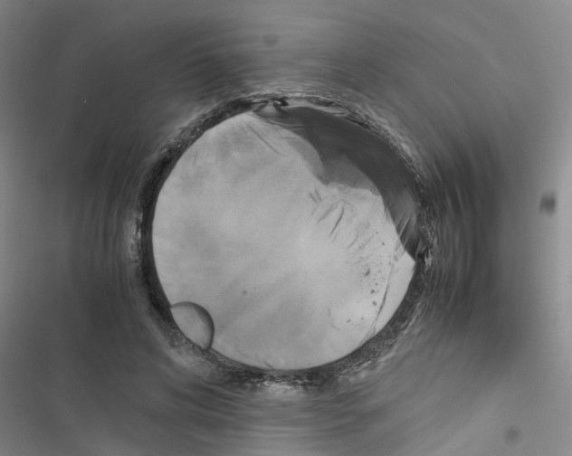 X0000116420592201001191451