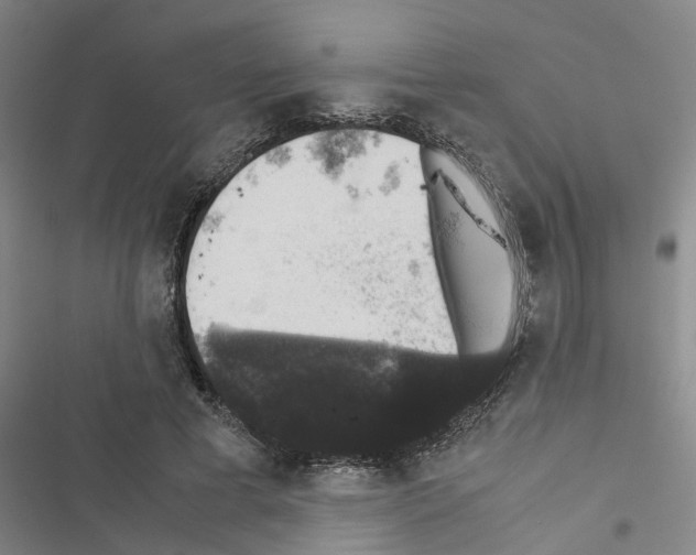 X0000116420593201001191451