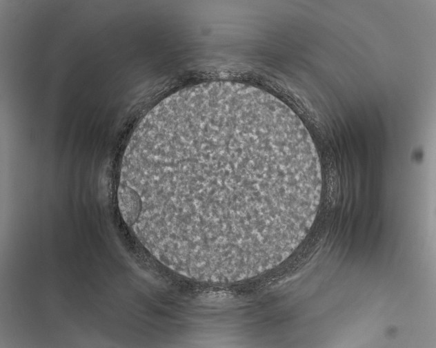 X0000116420594201001191451