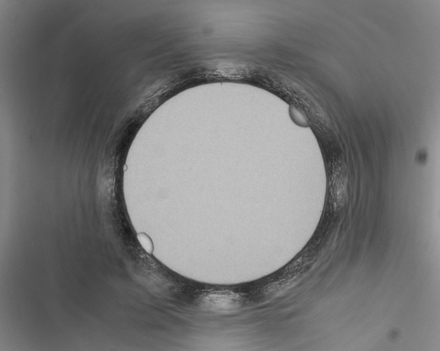 X0000116420595201001191451
