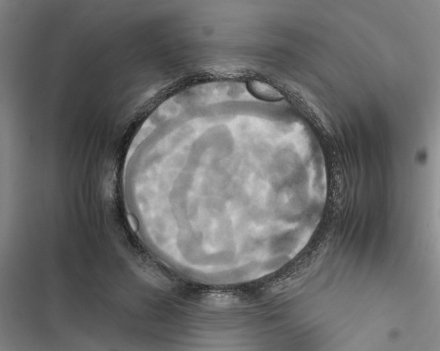 X0000116420596201001191451