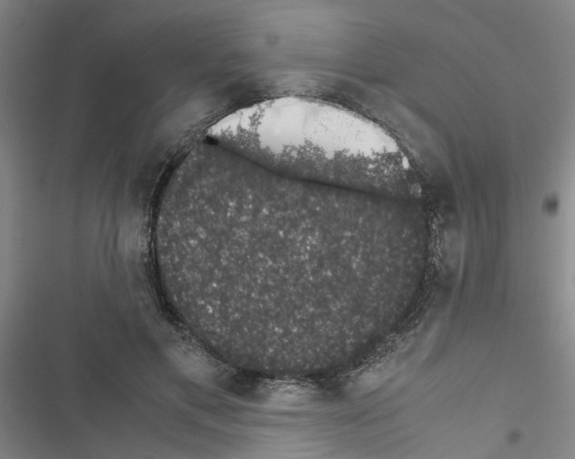 X0000116420597201001191451