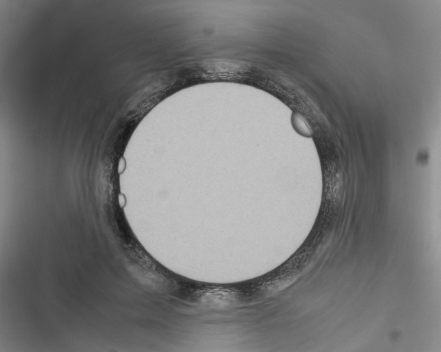 X0000116420599201001191451