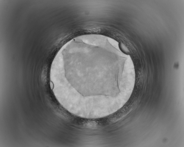 X0000116420600201001191451