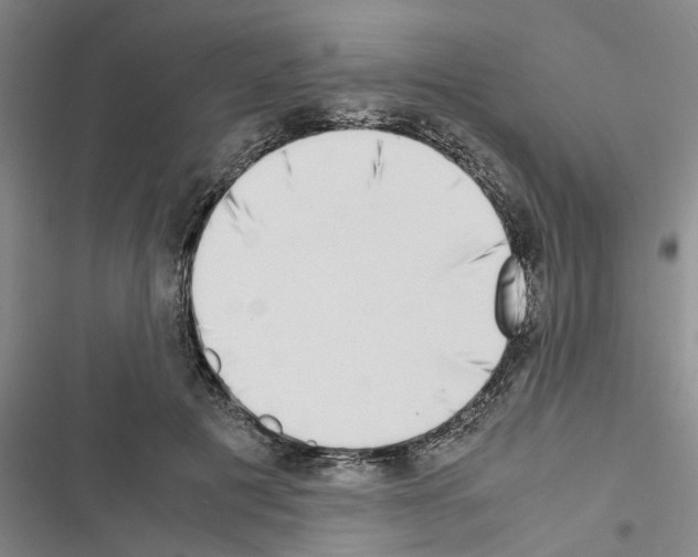 X0000116420601201001191451