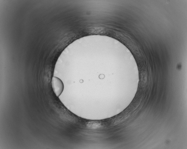 X0000116420602201001191451