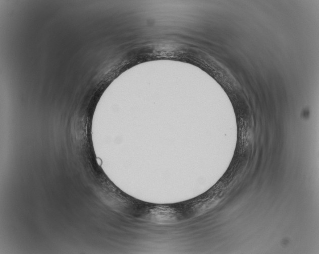 X0000116420603201001191451