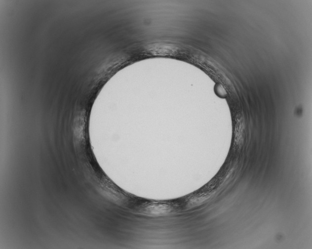 X0000116420604201001191451