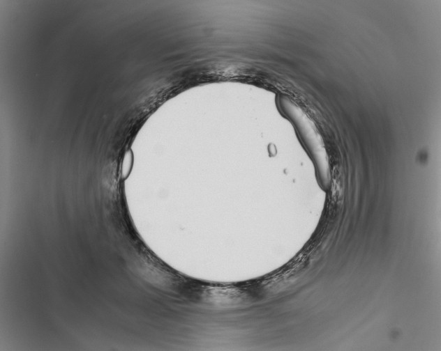 X0000116420605201001191451