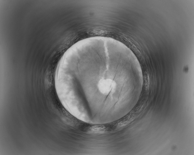 X0000116420606201001191451