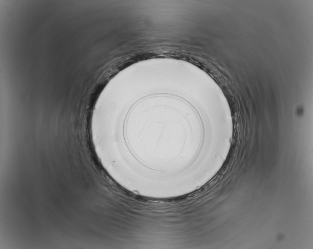 X0000116420611201001191451