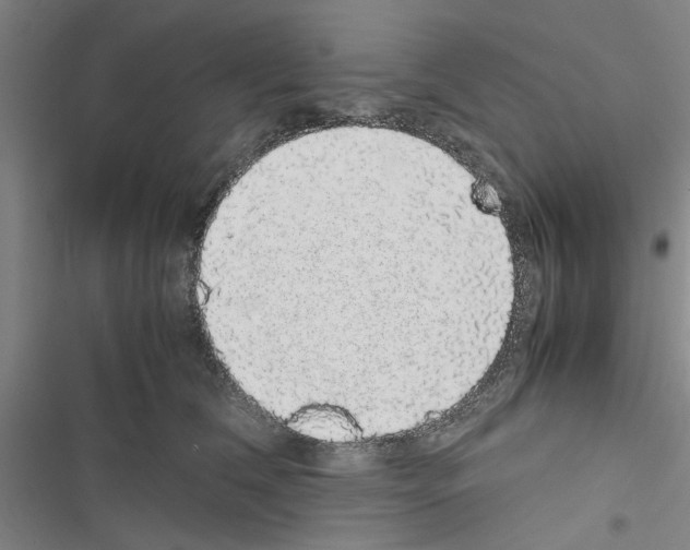 X0000116420612201001191451