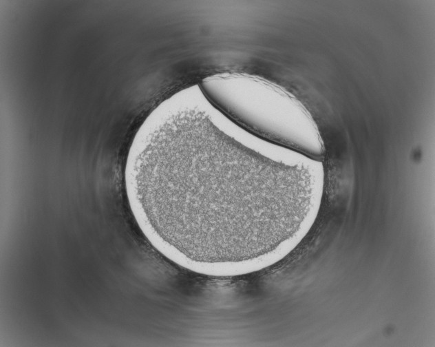 X0000116420613201001191451