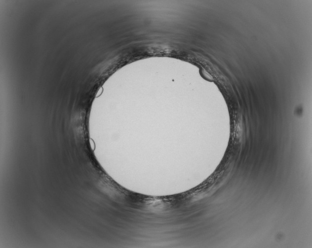 X0000116420616201001191451