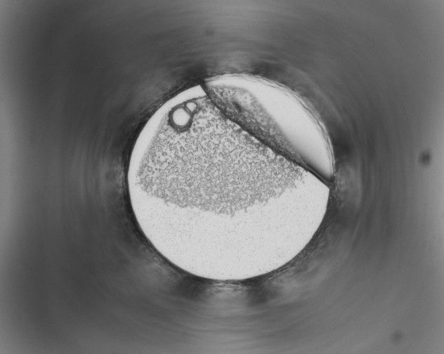 X0000116420617201001191451