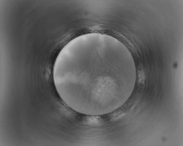 X0000116420618201001191451