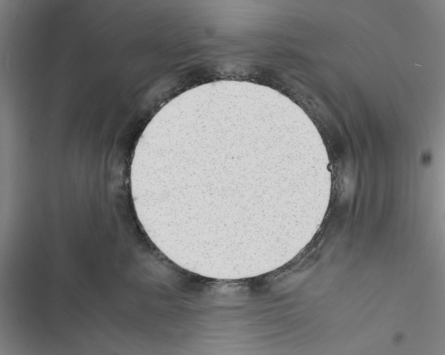 X0000116420619201001191451
