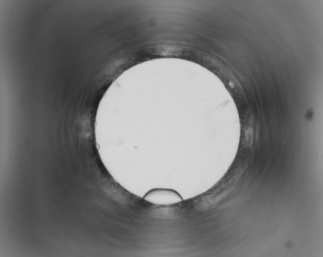 X0000116420620201001191451