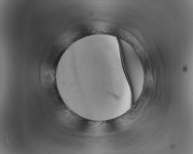 X0000116420621201001191451