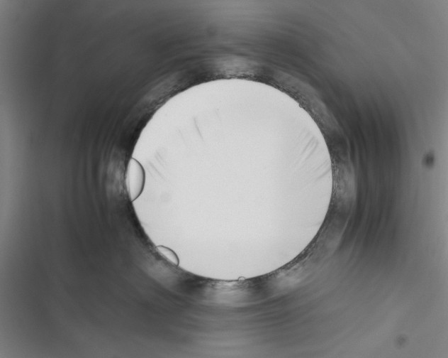 X0000116420622201001191451