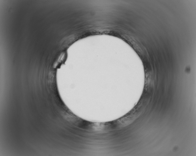 X0000116420623201001191451