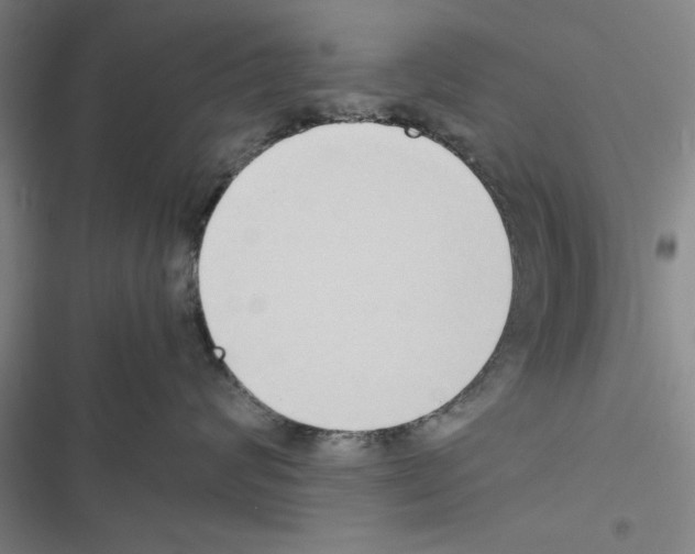 X0000116420624201001191451