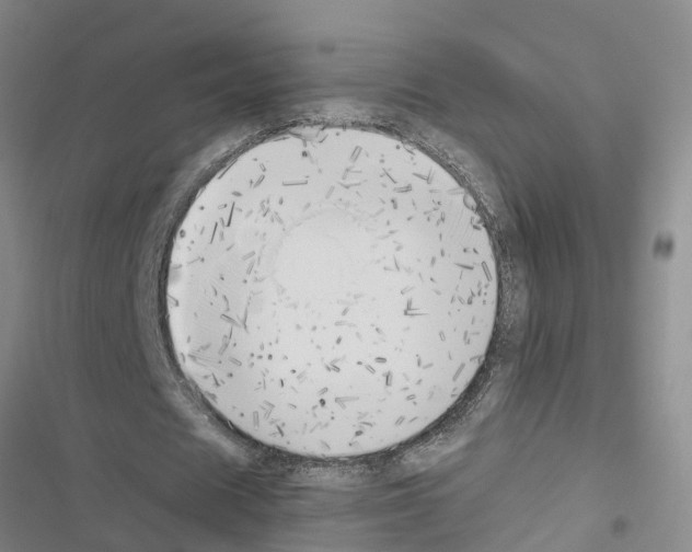 X0000116420625201001191450