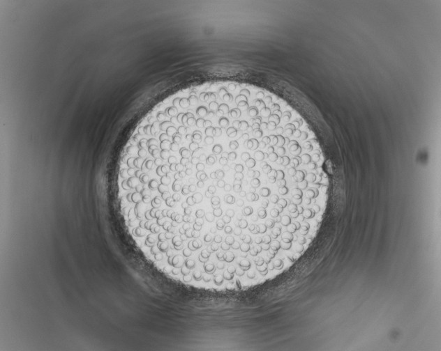 X0000116420626201001191450