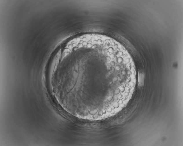 X0000116420627201001191450