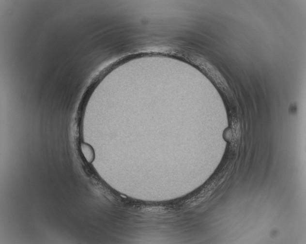 X0000116420628201001191450