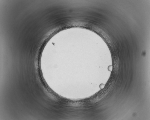 X0000116420629201001191450
