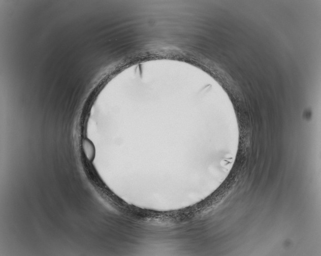 X0000116420630201001191450