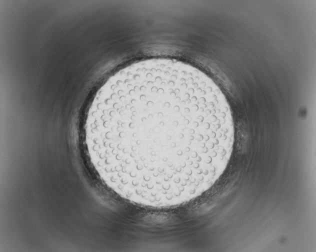 X0000116420631201001191450