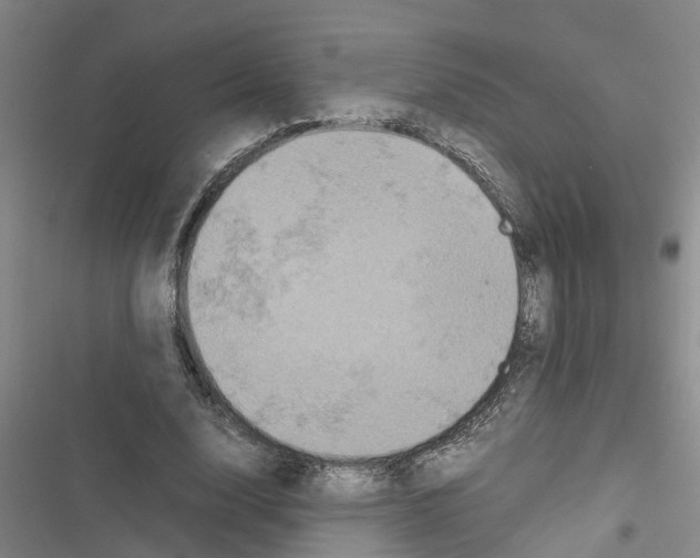 X0000116420632201001191450