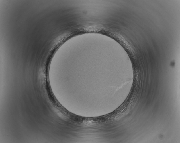 X0000116420634201001191451