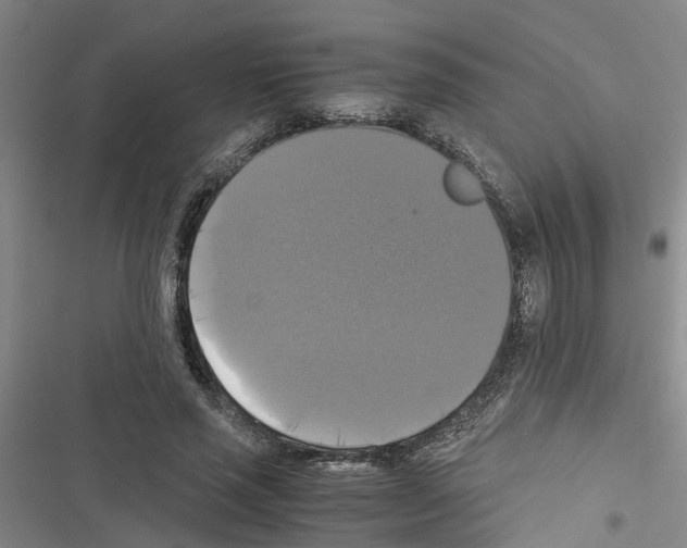 X0000116420637201001191451