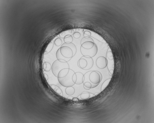 X0000116420638201001191451