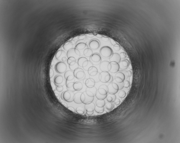 X0000116420639201001191451