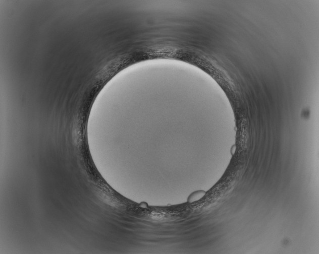 X0000116420641201001191451